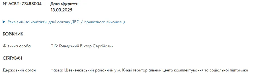 Володимир Гольдський, штраф, ТЦК