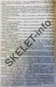Євген Шевцов: кради мільйони – гаси «шоколадних»