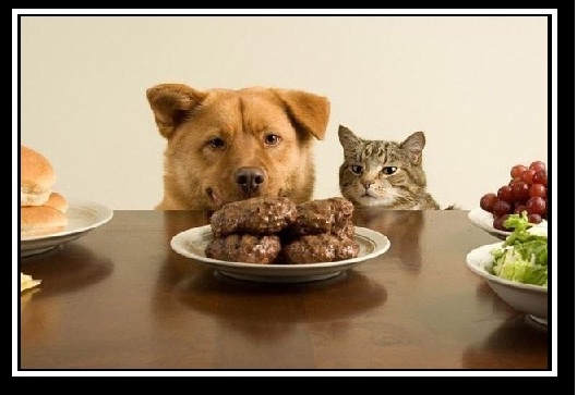 meal