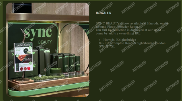 MNKY Group LTD, SYNC Beauty, Катерина Фісталь