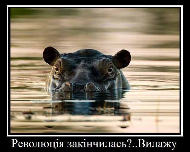 bbbb