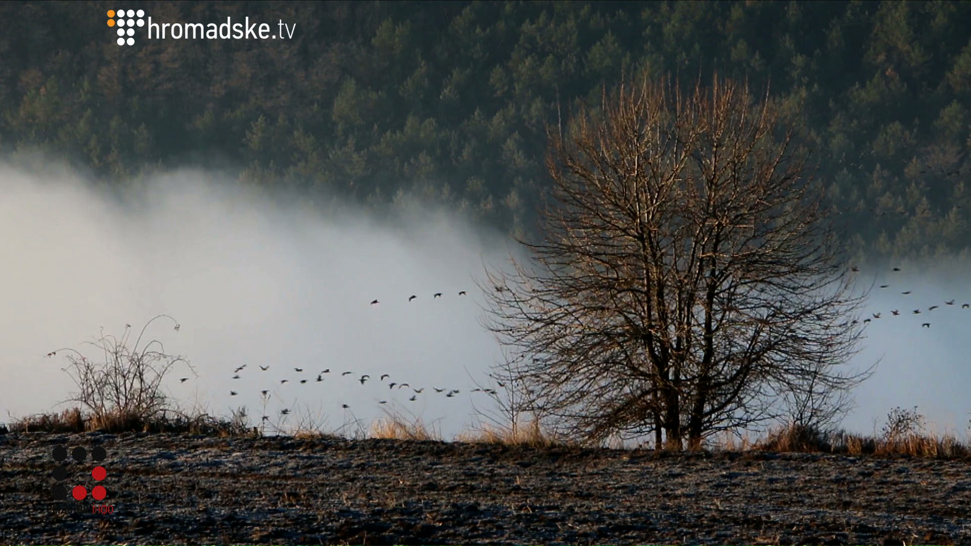FIRTASH_screen 5