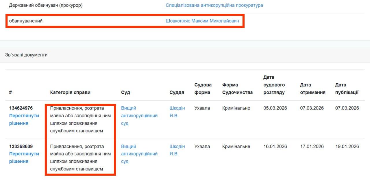 Максим Шовкопляс, кримінальна справа