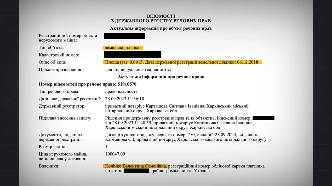 Валентина Колінко, земельна ділянка
