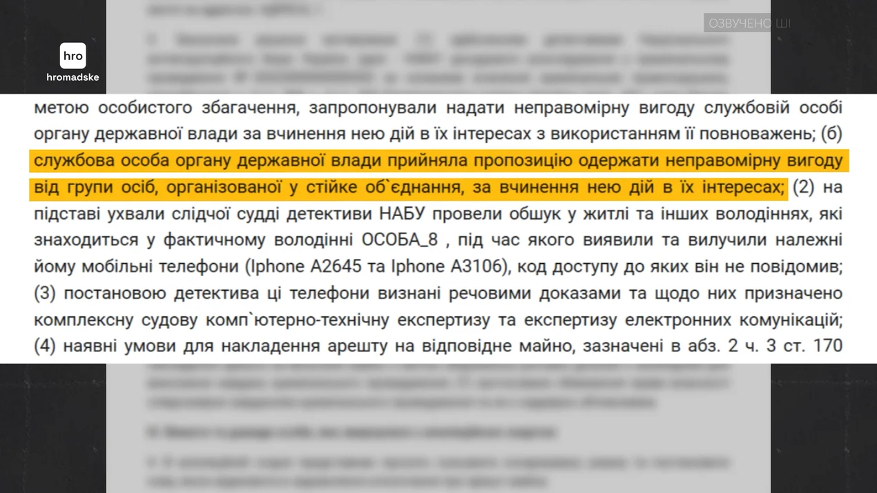 Олена Звягінцева, декларація, 