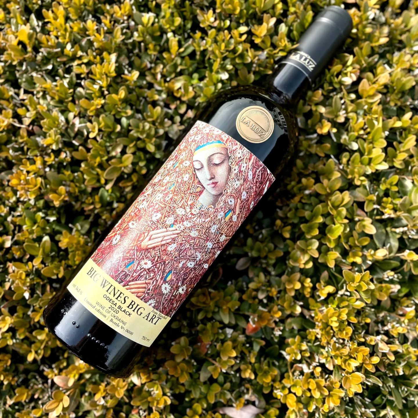 Big Wines, Іван Марчук, Пробудження