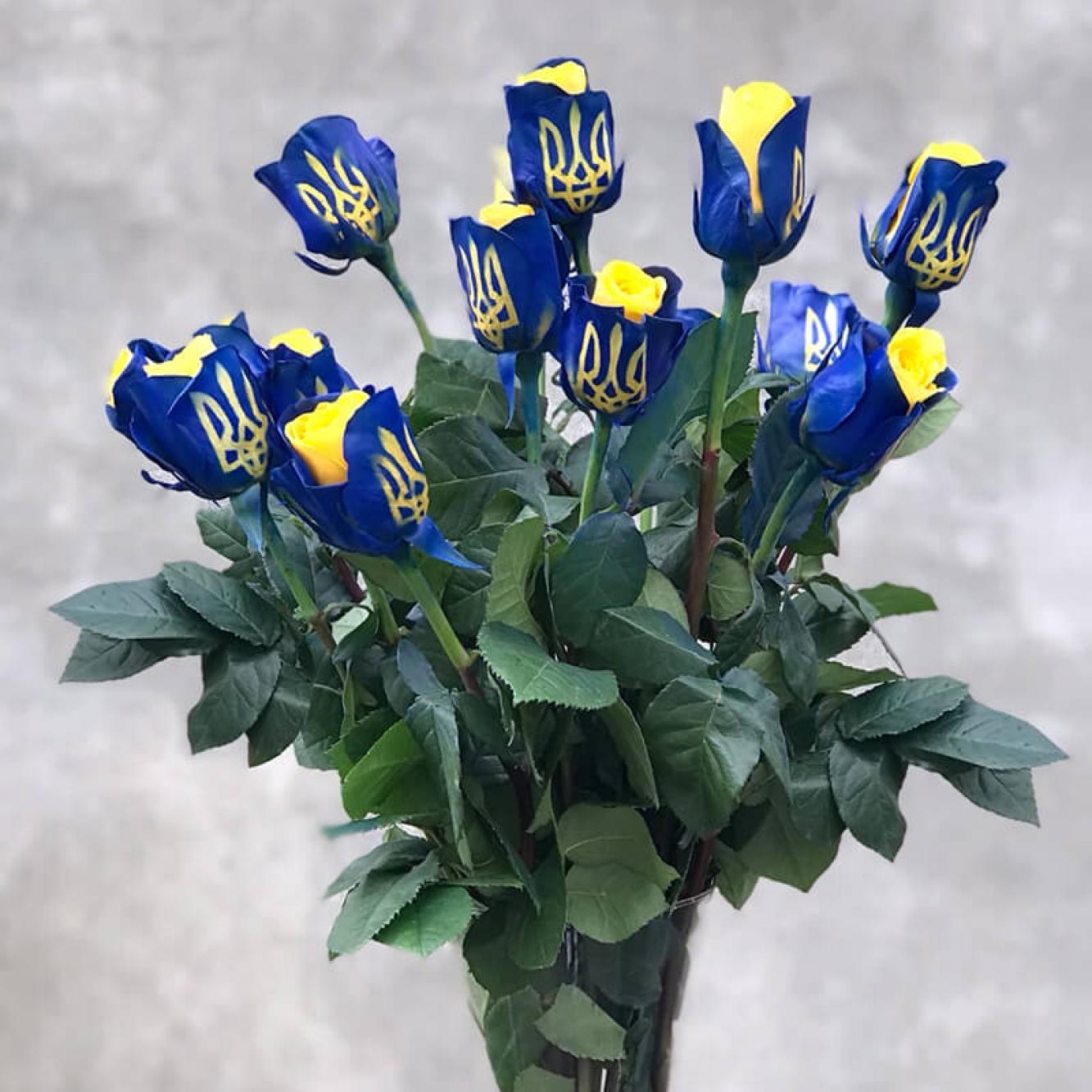 Квіти України, Алла Сушон