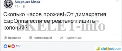 Михайло Чаплига, Анархіст Миха у Facebook