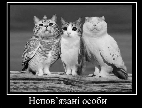 cat_ch
