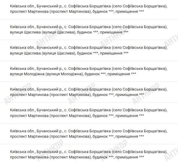 Софіївська Борщагівка, брати Гирини