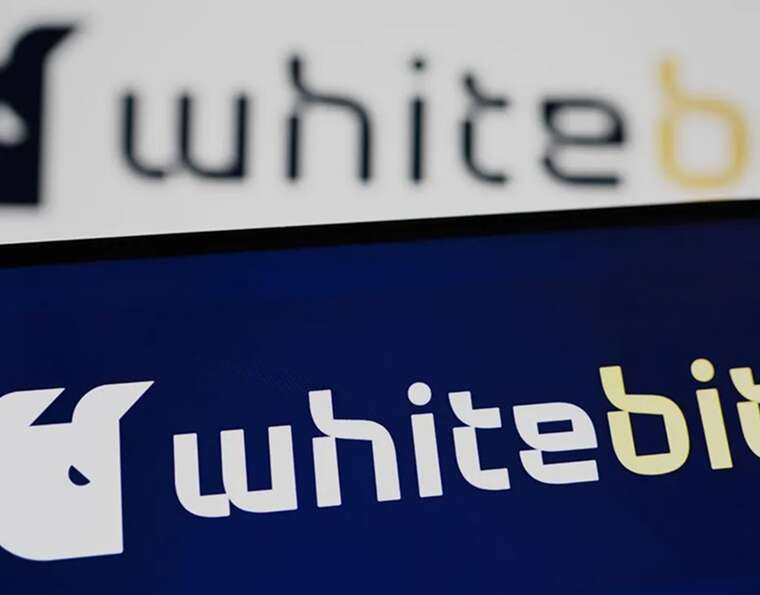 криптобіржа, Микита Шенцев, Дмитро Шенцев, WhiteBIT
