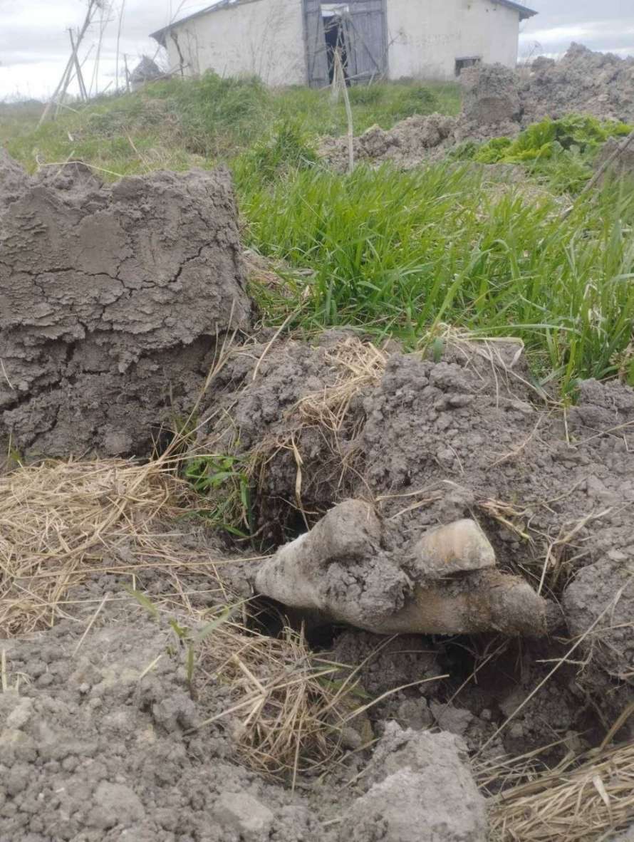 Віталій Бунечко, Житомир