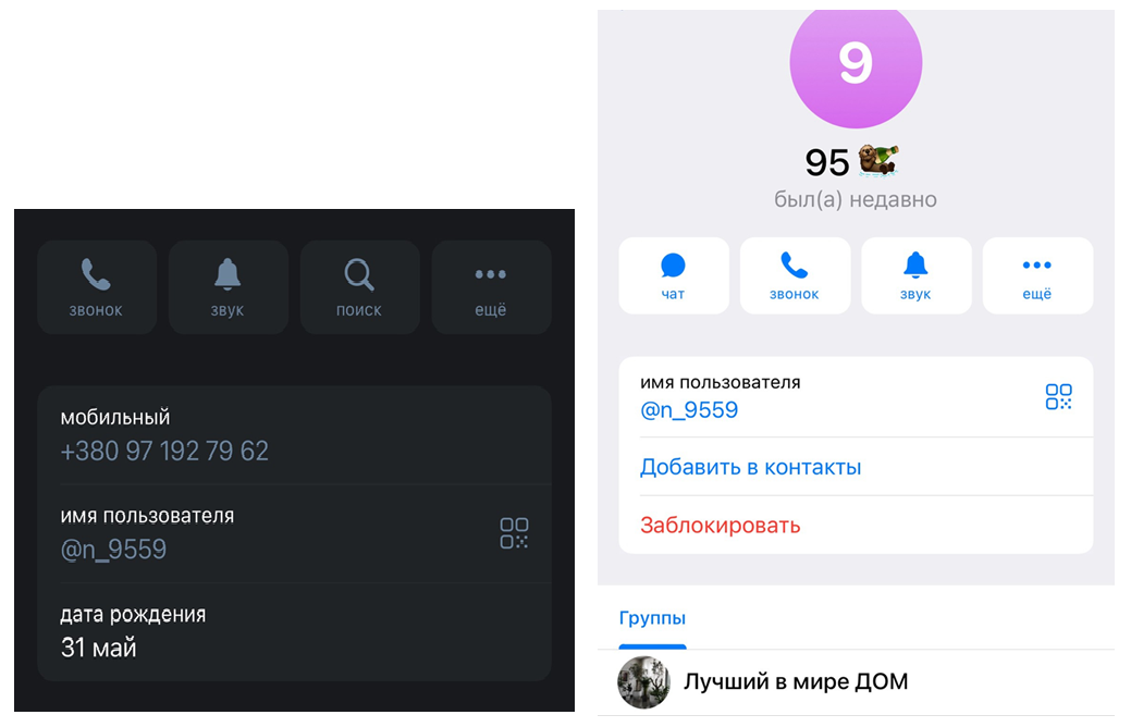 Новопечерські Липки, Микита Шпак, Нацполіція