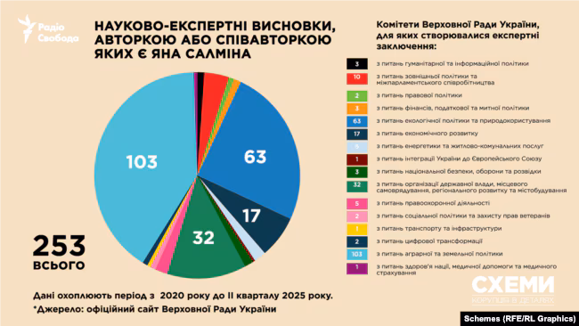 Яна Салміна, висновки комісії