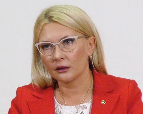 Михайло Терентьєв: мости київської корупції
