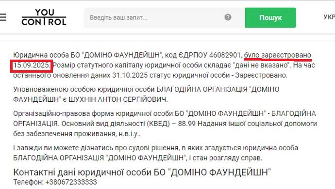 Антоніна Шухніна, Доміно Фаундейшн, Domino Faundation