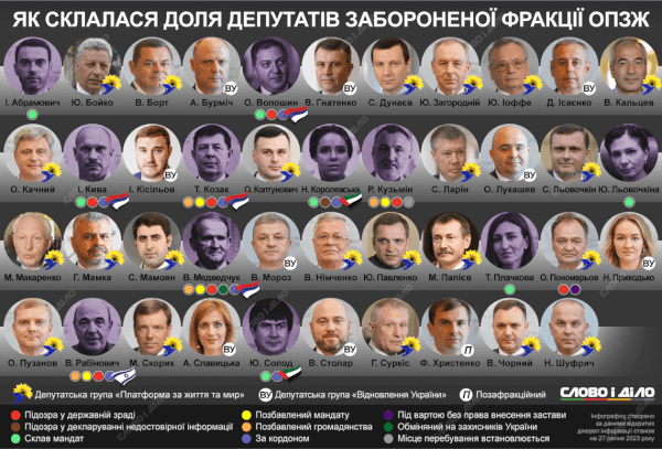 Доля ОПЗЖ. Що із депутатами? Інфографіка