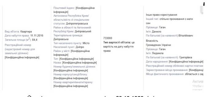 Анатолій Гагач, декларація
