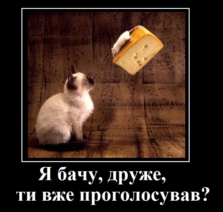vybor