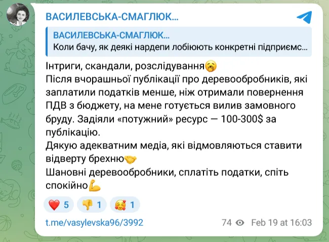 Ольга Василевська-Смаглюк, ЗМІ