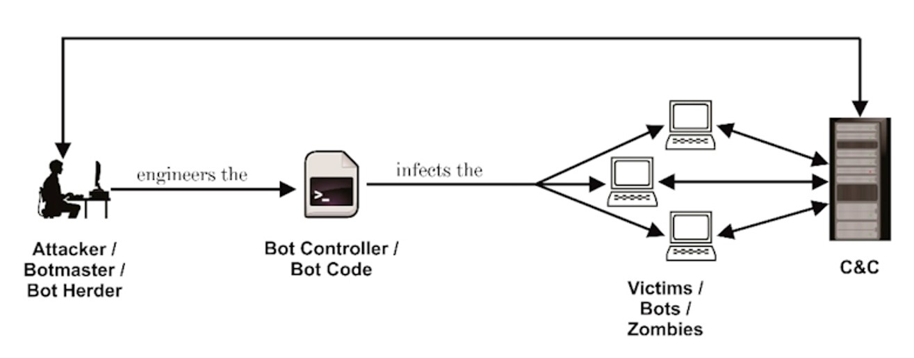 боти, DDoS
