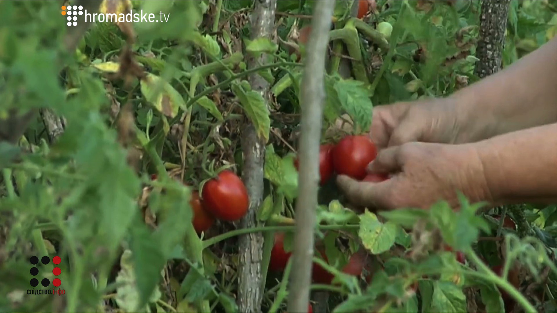 FIRTASH_screen 14