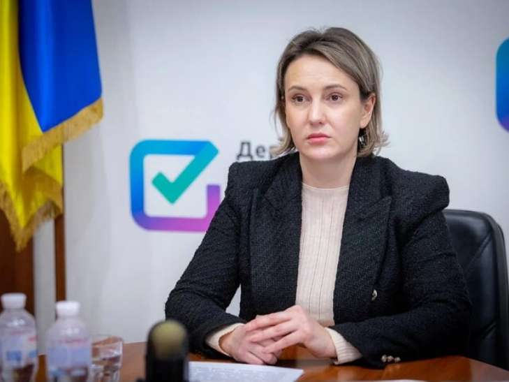 Алла Басалаєва, Держаудитслужба